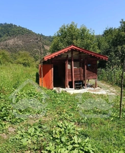 خانه چوبی ییلاقی ۴۶۰متر.در دل بهشت