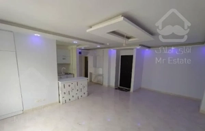 65 متر 1 خواب رامین جنوبی