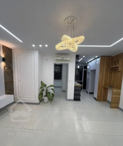 ملک سند دار و خاص/وام دار/خوش نقشه/فوول دیزاین