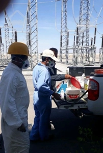 سمپاشی موش ضمانتی موریانه ساس سم پاشی سطح شهراهواز