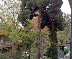 آپارتمان ۱۰۱ متری کاخ نیاوران