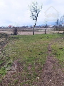 زمین مزروعی مناسب سرمایه گذاری