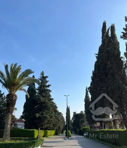 ویلا خاص چالوس سند تک برگ