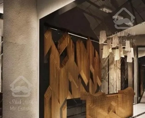 ۲۵۰ متر ، طبقات بالا ، ویو  ، مناسب سخت پسندان