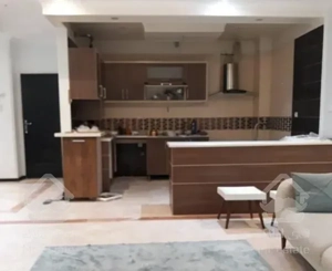 صادقیه 100 متر 2 خواب تخلیه