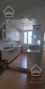 ۵۰متر خوش نقشه