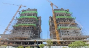 دفتر فروش تندیس اقاقیا/عباس گلوی/مستقیم و بی واسطه