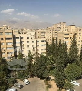 ۳ خواب، ۱۲۷ م،تک واحدی،اکازیون