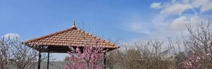 مرکز زمین باغی دور دیوار سند۶دانگ برا سرمایه گذاری