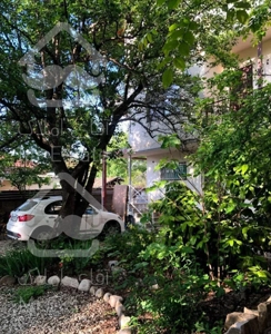 سوئیت یک خوابه جنگلی