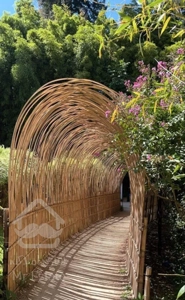 ویلاباغ بزرگ پدری ساحلی/ برای زندگی