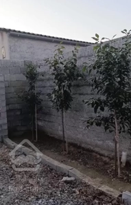 فروش ویلانوساز400متری سنددار در بابلسر«پارومحله»