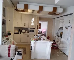 پنت هوس ۲۵۰ متری