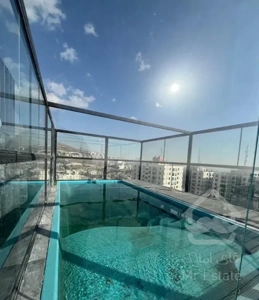 ۱۳۰ متر ۲ خواب / مدرن / استخر در روف / آجودانیه