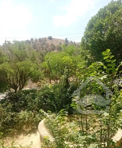 ۷۰متر۱خواب /سند شخصی لاکچری نشین