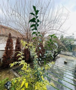 ویلا نمامدرن فلت 200متری شهرک برند سند تک‌برگ