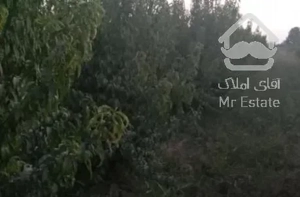 فروش زمین کشاورزی 700 متر در کردان