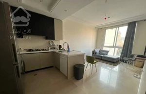 ۶۰ متر نوساز بدون مشابه افتابگیر