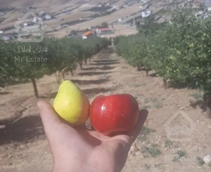 ۶۸۰ متر باغ ده ساله گرمابسرد دماوند