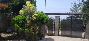 اجاره ی یکساله ی ویلا