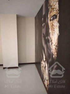 ٦٠ متر غرق در نور