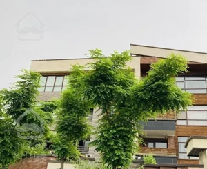 115متر//بلوار شهرداری//مقدمی