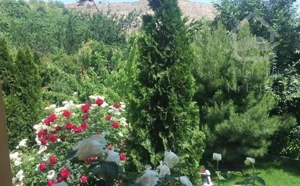 باغچه با بنا لواسان کوچک