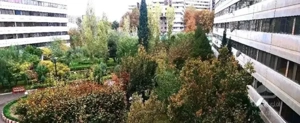 فروش ۳خواب فاز۱ بالا ورزشگاه