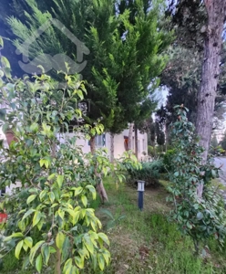 ویلایی شهرک دریاکنار قیمت کم تکرار