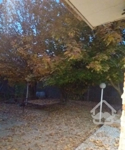 اجاره باغ ویلا جاده صدرا خیابان قصر سبز