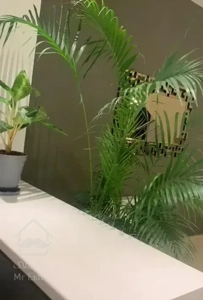 ویلای شهرکی ۲۷۰ متری متلقو دربست