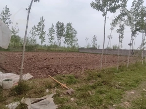 800متر زمین داخل طرح رشت