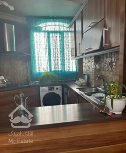 سازمان برنامه شمالی شقایق