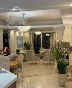 هم خانه پزشک یا رزیدنت