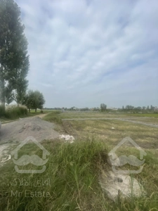 فروش ویژه زمین سرمایه گذاری