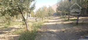 ۷۳۴متر با آب+برق +دیوارکشی+اسناد قانونی گلستان۲