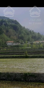 ویلا اجاره محیطی امن