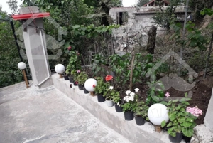 فروش ویلا باغ