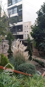 قیطریه ۱۶۰متر سه ۳ خوابه