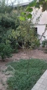 خونه کلنگی زمین ۴۸۰متر ۳واحد ساری سند تک برگ