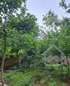 اجاره ویلا در روستای بالاچلی