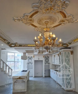 پنت هاوی ۳۰۰متر دوبلکس رهن کامل