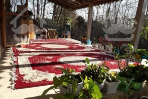 سوییت مناسب زوج جوان