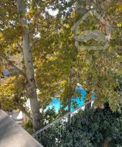 پیش فروش ۳۰۰ متر ویو باغ قصرالدشت