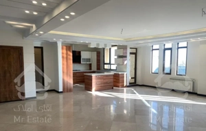 ۶۲م مدبر خوش نقشه