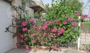 یک واحد اپارتمانی و ویلایی
