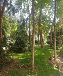 فرمانیه مشرف به باغ۲۱۰ متر۳ خوابه با حیاط اختصاصی