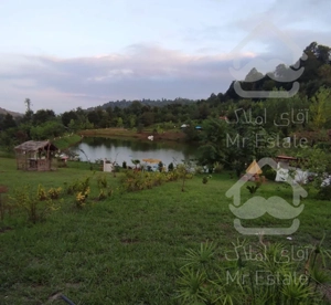 کلبه ی جنگلی ۴۰متری