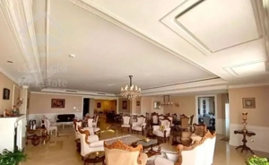 ۳۵۰متر،سرمایه‌گذاری،مشاعات‌کامل،دید مشجر