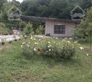 کنار جنگل .آبشار وچشمه ویلا